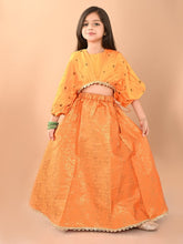 Girls Embellished Ready to Wear Lehenga Choli