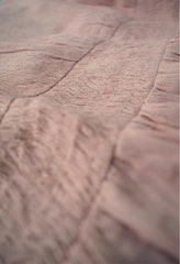 Light Brown Ethnic Kurti Top
