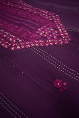 Sequence worked Ethnic Kurti
