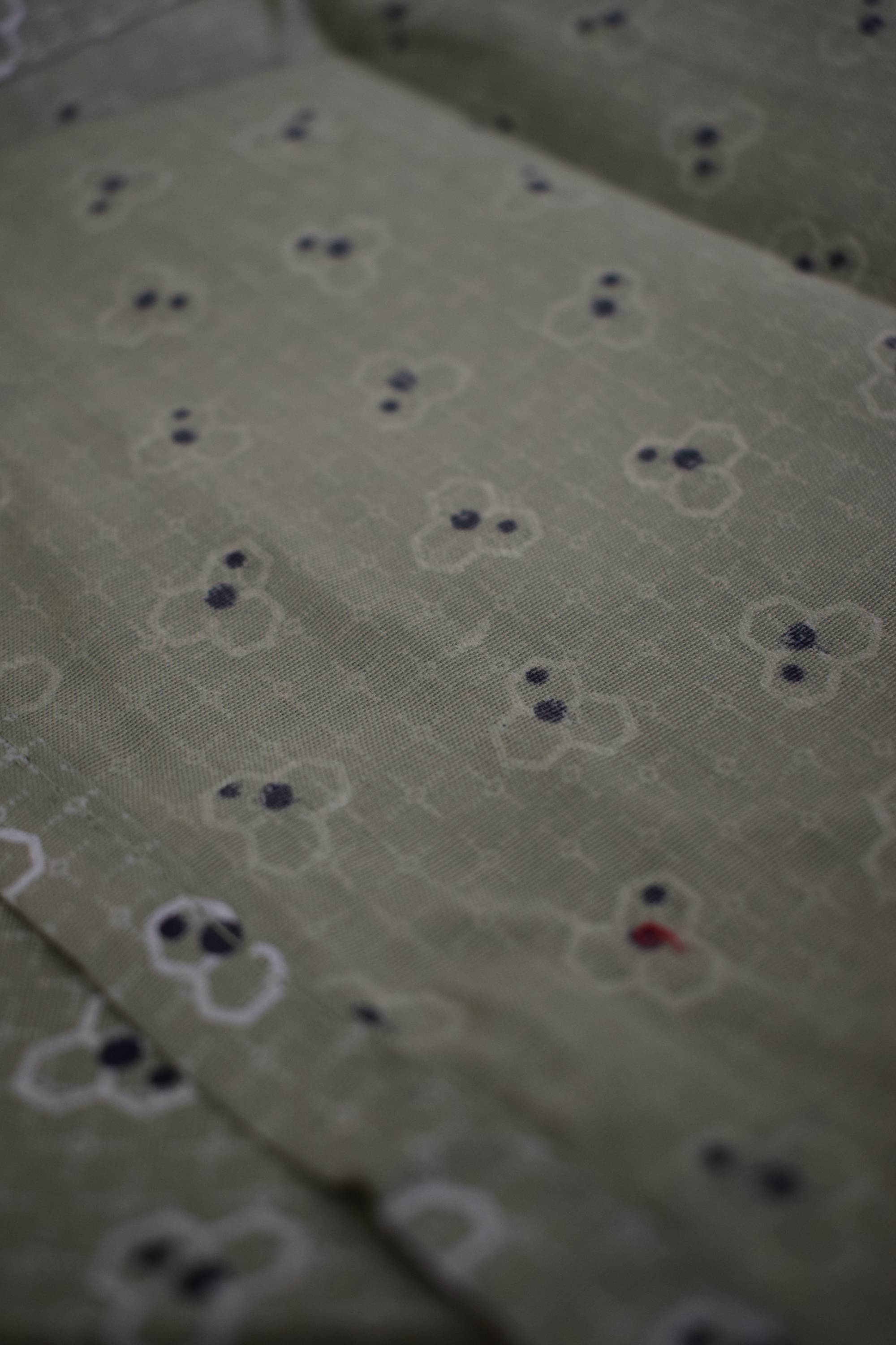 Light Green Printed Kurti Top