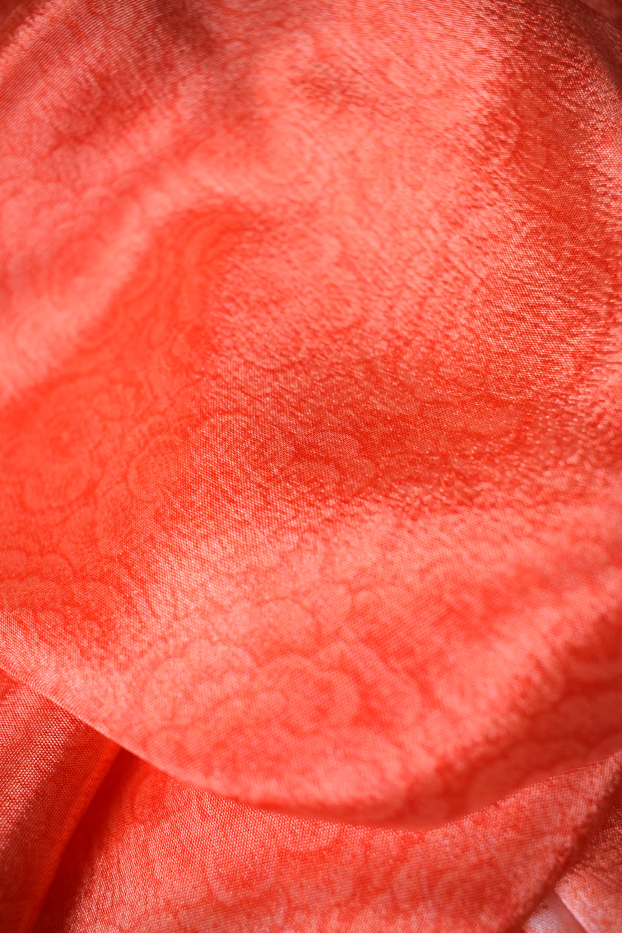 Floral Printed Multicolor Cotton Silk Saree